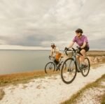 Vélo gravel électrique VAN RYSEL E-GRVL AF HD Mahle X35 – Image 8
