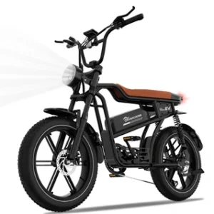 Vélo assistance électrique EVERCROSS adulte EK30 Pneus Gros 20"-Batterie amovible 48V 15.6Ah