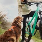 VTT randonnée semi-rigide Rockrider 29" cadre aluminium EXPL 100 gris – Image 15