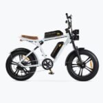 ENGWE M20 - Électrique Fat bike - Double Batterie - Blanc