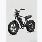 Vélo électrique ENGWE M20 (Version à batterie unique)