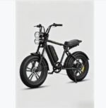 Vélo électrique ENGWE M20 (Version à batterie unique)