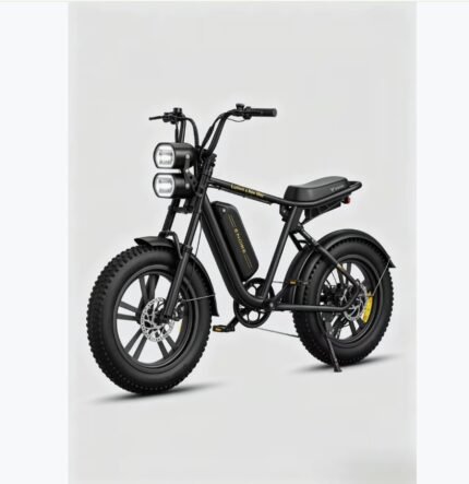 Vélo électrique ENGWE M20 (Version à batterie unique)