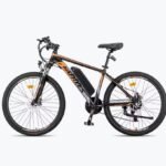 Vélo électrique FAFREES Hailong One 250W 36V13.5AH 26 Noir