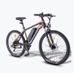 Vélo électrique FAFREES Hailong One 250W 36V13.5AH 26" Noir – Image 5