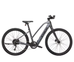 Vélo de Fitness Électrique Trek Dual Sport+ 2 Stagger Shimano Altus 9V 250 Wh 650 mm Bleu – Image 5