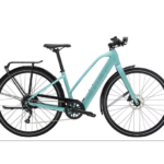 Vélo de Ville Électrique Trek FX+ 2 Shimano Altus 9V 250 Wh 700 mm Vert Sauge